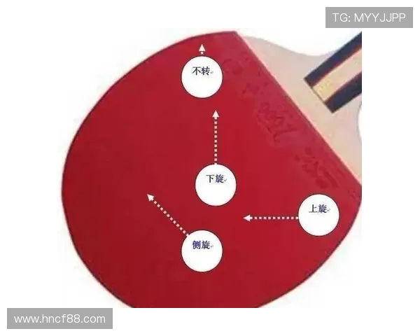 广州乒乓球队的节奏揭秘:深度解析乒乓球的魅力与技巧
